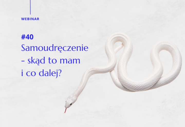 Webinar 40: Samoudręczenie – skąd to mam i co dalej?